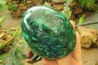 Polished Flower Banded Malachite Gemstone Egg x 1 From Congo