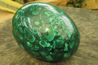 Polished Flower Banded Malachite Gemstone Egg x 1 From Congo