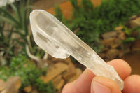 Natural Clear Quartz Crystals x 46 From Madagascar