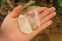 Natural Clear Quartz Crystals x 46 From Madagascar