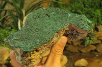 Natural Botryoidal Malachite Specimen x 1 From Tenke Fungurume, Congo