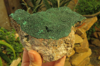 Natural Botryoidal Malachite Specimen x 1 From Tenke Fungurume, Congo