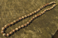 Polished Snakeskin Rhyolite Jasper Faceted Bead Necklace - sold per Pair - From Australia