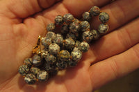 Polished Snakeskin Rhyolite Jasper Faceted Bead Necklace - sold per Pair - From Australia