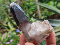 Natural Smokey Quartz Crystal Specimens x 12 From Zomba, Malawi