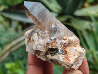 Natural Smokey Quartz Crystal Specimens x 12 From Zomba, Malawi