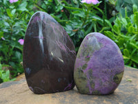 Polished Stichtite Standing Free Forms x 3 From Barberton, South Africa