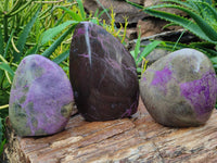 Polished Stichtite Standing Free Forms x 3 From Barberton, South Africa