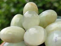 Polished Nephrite Jade Hanging Bunch of Grapes with Green Quartzite Leaves - Sold Per Item - From Zimbabwe