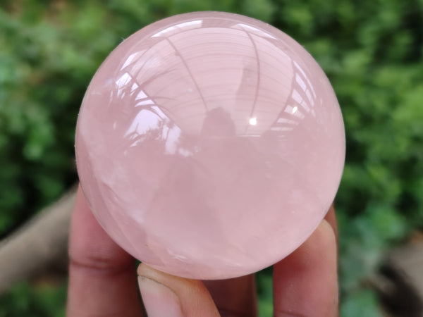 Polished Rose Quartz Spheres x 6 From Madagascar