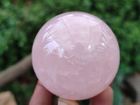 Polished Rose Quartz Spheres x 6 From Madagascar