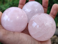 Polished Rose Quartz Spheres x 6 From Madagascar