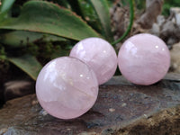 Polished Rose Quartz Spheres x 6 From Madagascar