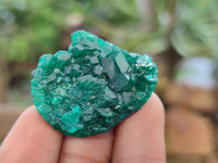 Natural Dioptase On Dolomite Specimens x 12 From Likasi, Congo