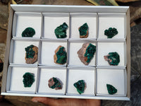 Natural Dioptase On Dolomite Specimens x 12 From Likasi, Congo