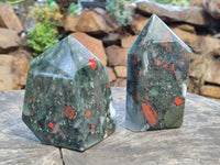 Polished Bloodstone Points x 2 From Swaziland