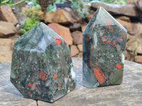 Polished Bloodstone Points x 2 From Swaziland