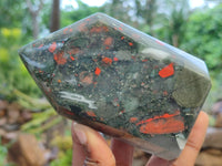 Polished Bloodstone Points x 2 From Swaziland