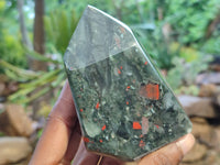 Polished Bloodstone Points x 2 From Swaziland