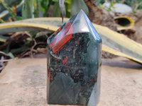 Polished Bloodstone Points x 2 From Swaziland