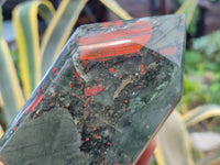 Polished Bloodstone Points x 2 From Swaziland