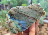 Polished On One Side Labradorite x 12 From Tulear, Madagascar