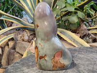 Polished Polychrome Jasper Standing Free Form x 1 From Madagascar