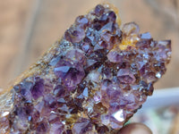 Natural Amethystos Amethyst Clusters x 12 From Kwaggafontein, South Africa