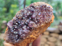 Natural Amethystos Amethyst Clusters x 12 From Kwaggafontein, South Africa