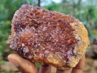 Natural Amethystos Amethyst Clusters x 12 From Kwaggafontein, South Africa