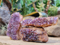 Natural Amethystos Amethyst Clusters x 12 From Kwaggafontein, South Africa