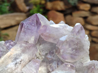 Natural Jacaranda Amethyst Quartz Clusters x 2 from Mumbwa, Zambia