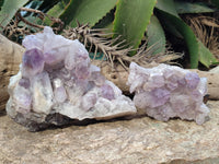 Natural Jacaranda Amethyst Quartz Clusters x 2 from Mumbwa, Zambia