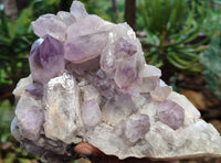 Natural Jacaranda Amethyst Quartz Clusters x 2 from Mumbwa, Zambia