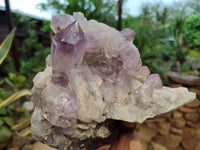 Natural Jacaranda Amethyst Quartz Clusters x 2 from Mumbwa, Zambia