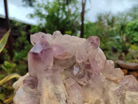 Natural Jacaranda Amethyst Quartz Clusters x 2 from Mumbwa, Zambia