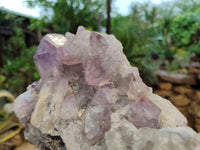 Natural Jacaranda Amethyst Quartz Clusters x 2 from Mumbwa, Zambia