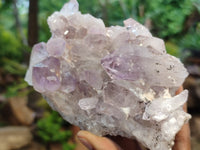 Natural Jacaranda Amethyst Quartz Clusters x 2 from Mumbwa, Zambia