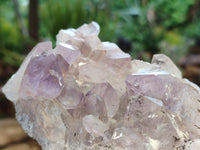 Natural Jacaranda Amethyst Quartz Clusters x 2 from Mumbwa, Zambia