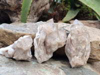 Natural Smokey Phantom Quartz Clusters x 6 From Luena, Congo