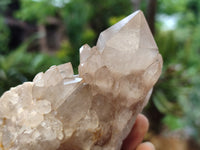 Natural Smokey Phantom Quartz Clusters x 6 From Luena, Congo