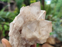 Natural Smokey Phantom Quartz Clusters x 6 From Luena, Congo