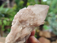 Natural Smokey Phantom Quartz Clusters x 6 From Luena, Congo