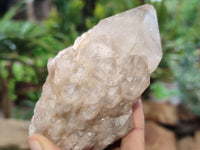 Natural Smokey Phantom Quartz Clusters x 6 From Luena, Congo