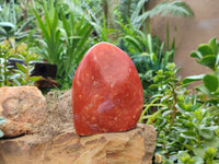 Polished Orange Twist Calcite Standing Free Form x 1 From Madagascar