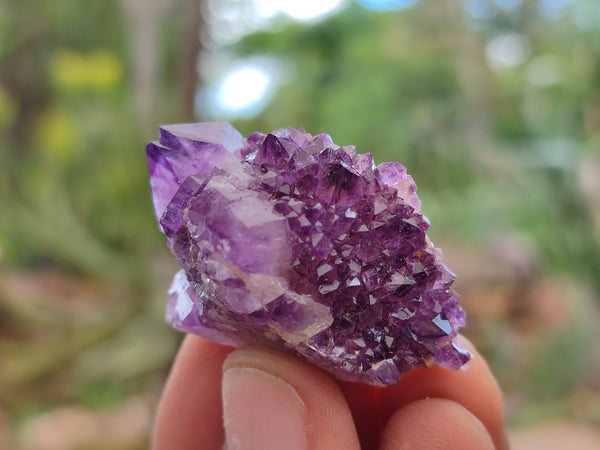 Natural Amethyst Spirit Quartz Crystals x 35 From Boekenhouthoek, South Africa