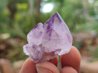 Natural Amethyst Spirit Quartz Crystals x 35 From Boekenhouthoek, South Africa