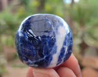 Polished Sodalite Free Forms x 12 From Kunene River, Namibia