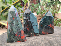 Polished Bloodstone Points x 3 From Swaziland