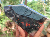 Polished Bloodstone Points x 3 From Swaziland